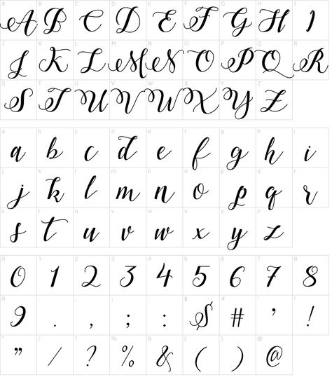 Characters: Marigold Font Funny Calligraphy, Bold Fonts Free, Calligraphy Fonts Handwritten, Calligraphy Templates, Chinese Handwriting, Alphabet Video, Christmas Fonts Alphabet, Caligraphy Font, Alphabet Calligraphy