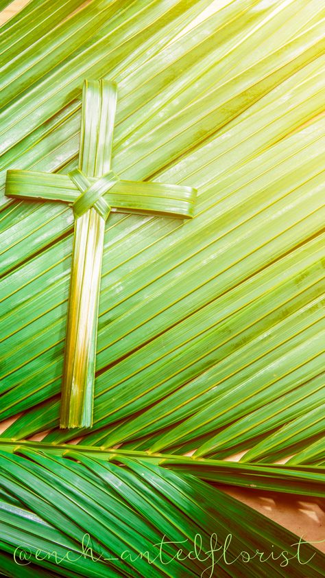 Palm Sunday Instagram Story, Editing Assets, Florist Instagram, Palm Sunday Decorations, Eid Mubarik, Catholic Lent, Christian Friendship, Christian Photos, Enchanted Florist