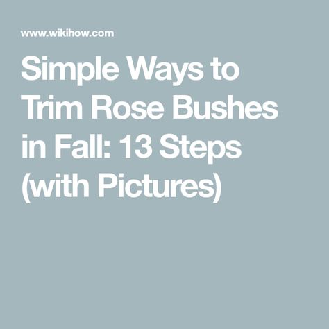 Simple Ways to Trim Rose Bushes in Fall: 13 Steps (with Pictures) Trim Rose Bushes, How To Trim Roses, Fall Begins, Rosé Back, Rose Bushes, Composting At Home, Beautiful Plants, Rose Bush, Plant Nursery