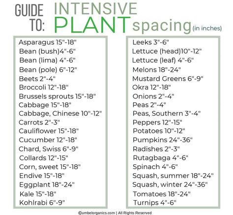 intensive_plant_spacing Small Veggie Garden Ideas Space Saving, Vegetable Garden Spacing, Organize Vegetable Garden, Vegetable Spacing Guide, Maximize Garden Space, Garden Spacing, Intensive Gardening, Plant Knowledge, Garden Planning Layout