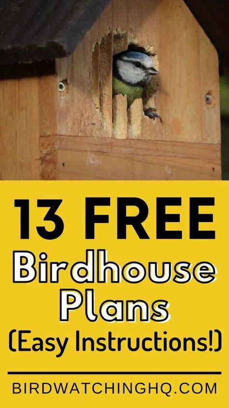 Build Bird House, Birdhouse Building Plans, Bird Houses Diy Easy, Birdhouse Diy Plans, Free Birdhouse Plans, Diy Birdhouse Plans, Missouri Farm, Birdhouse Woodworking Plans, Bluebird House Plans