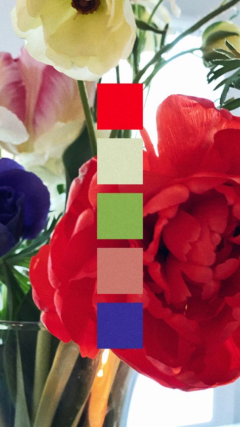 Red Pink Green Blue Color Palette, Blue Color Pallet, Red Chinoiserie, Red Aesthetics, Dark Blue Flowers, Red Color Schemes, Red Colour Palette, Green Palette, Brand Ideas