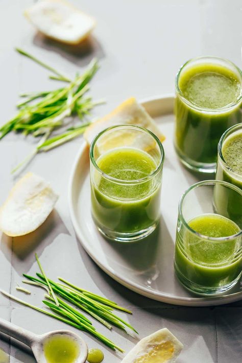 Wheatgrass Shot & Amazing Detox Benefits | The Awesome Green Wheatgrass Shot Recipe, Inflammation Juice, Growing Wheat Grass, Wheat Grass Shots, Wheatgrass Powder, Gluten Allergy, Essential Amino Acids, Ginger Shot, Wellness Shots