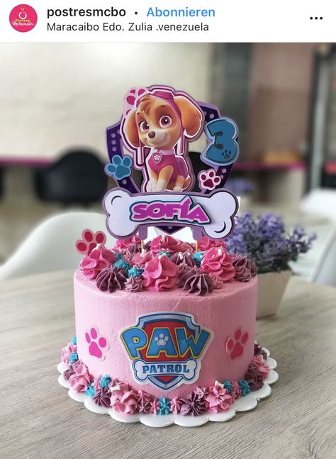 Sky And Everest Birthday Cake, Paw Patrol Cake For Twins, Pastel Paw Patrol, Birthday Cake Models, Paw Patrol Birthday Party Cake, Paw Patrol Skye Birthday, Sky Paw Patrol, Paw Birthday, Paw Patrol Party Decorations