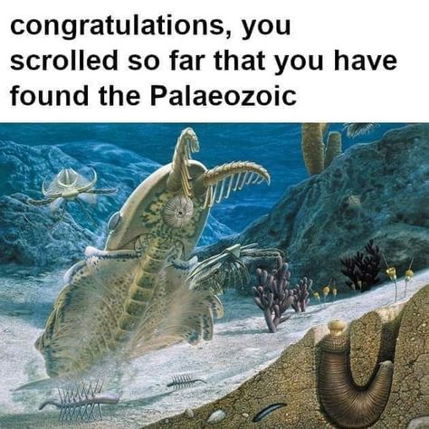 Prehistoric Sea Creatures, Biology Memes, Ancient Memes, Prehistoric World, Jurassic World Dinosaurs, Great Memes, Memes Funny Lol, Dinosaur Funny, Extinct Animals