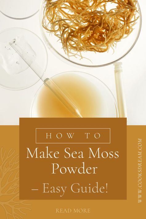 Seamoss Powder Recipes, Sea Moss Recipes Skin, Sea Moss Powder Recipes, Seamoss Recipes, Irish Moss Recipes, Sea Moss Powder, Healing Gut, Home Making, Irish Moss