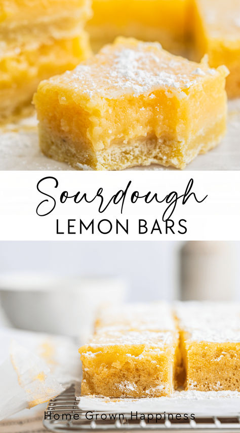 These sourdough lemon bars are a bright and tangy way to use up excess sourdough discard! I use it in both the buttery shortbread base and tangy lemon filling.  Sourdough discard recipes - recipes with sourdough Sourdough Eclairs, Healthy Sourdough Desserts, Sourdough Shortbread, Sourdough Lemon, Lemon Baking, Sourdough Desserts, Lemon Loaf Recipe, Lemon Crinkle Cookies, Lemon Pie Filling