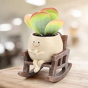 KIUGCO Smily Face Planter Pots for Indoor Plants, Cute Resin Flower Head Planters, Rocking Chair Succulent Flower Pots with Drainage Hole, Gift IdeaI for Birthday, Christmas Pots Design, Plants Cute, Smiling Expression, Face Plant Pot, Cute Plants, Drainage Design, Pots For Indoor Plants, Plant Pot Design, Color Me Mine