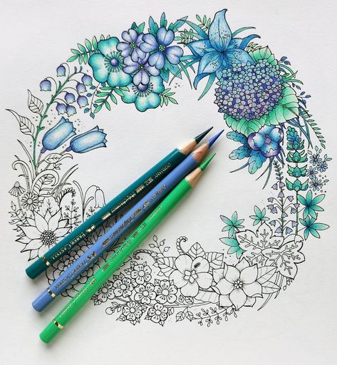 @rekacolour • Instagram photos and videos Magical Jungle Johanna Basford, Colored Pencil Art Projects, Joanna Basford Coloring, Secret Garden Coloring Book, Joanna Basford, Colored Pencil Tutorial, Johanna Basford Coloring Book, Colored Pencil Techniques, Basford Coloring