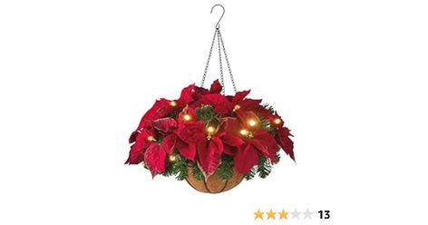 Pre lit Christmas Hanging Basket 17.7in Artificial Poinsettia Christmas Flower Hanging Planter with Lights Faux Hanging Christmas Basket with Frosted Pine Picks for Outdoors Indoor Holiday(1 Pcs) Flocks Flower, Christmas Hanging Baskets, Artificial Hanging Baskets, Christmas Plants, Hanging Flower Baskets, Artificial Garland, Christmas Hanging, Christmas Baskets, Hanging Flowers