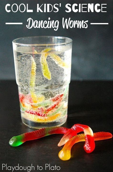 20 Kids' Science Experiments You Can Do At Home. Fun for a back to school party! Dancing Frankenworms, Vetenskapliga Experiment, Science Experience, Playdough To Plato, Kid Science, Science Party, Kid Experiments, Kids Science, Gummy Worms