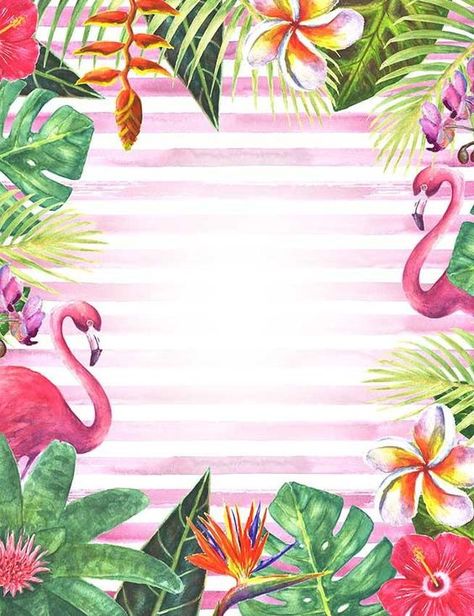 Kaitie Kate Clothes Storage Ideas, Flamingo Birthday Invitations, Flamingo Themed Party, Flamingo Wallpaper, Flamingo Birthday Party, Fiesta Tropical, Ideas Clothes, Tropical Birthday, Flamingo Birthday