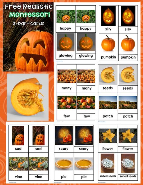 Free Montessori Printables, Montessori Printables Free, Pumpkin Unit, Glow Pumpkin, Montessori Printables, October Ideas, Harvest Fest, Montessori Lessons, Fall Preschool Activities