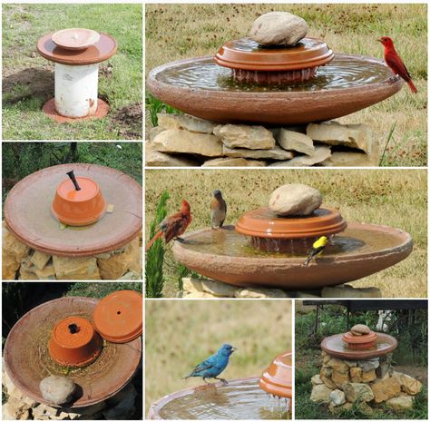 Hummingbird Bird Bath, Hummingbird Fountain, Bird Baths Homemade, Bird Bath Bowl, Bird Fountain, Diy Water Feature, Diy Water Fountain, Diy Bird Bath, Bird Bath Fountain