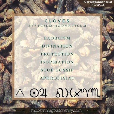 Cloves are perfect for spells involving exorcism protection love and stopping gossip. #magicalmonday Essential Oil Uses Witchcraft, Herb Correspondences, Herbal Correspondences, Herb Meanings, Plant Magick, Spiritual Herbs, Magick Herbs, Saco Maine, Celtic Pagan