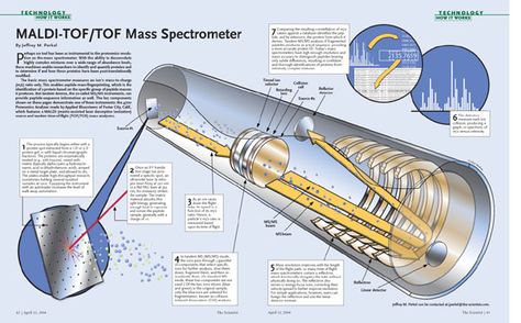 MALDI-TOF/TOF Mass Spectrometer | The Scientist Magazine® Physics Topics, Science Diagrams, General Chemistry, 11th Chemistry, Engineering Notes, Chemistry Classroom, Study Biology, Ancient Queen, Mass Spectrometry