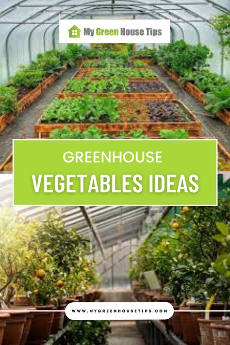 "Unleash your creativity with greenhouse vegetable ideas on Pinterest. Explore a diverse range of vegetables perfect for greenhouse cultivation, from vibrant heirloom tomatoes to leafy greens and exotic peppers. Find inspiration, growing tips, and mouthwatering recipes to make the most of your greenhouse harvest." Ideas For Inside Greenhouses, Greenhouse Veggie Garden, Greenhouse Set Up Inside, Heat Greenhouse, Vegetables Ideas, Vegetable Ideas, Greenhouse Vegetables, Companion Gardening, Indoor Farming