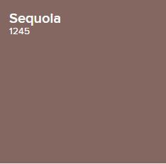 Benjamin Moore Sequoia, Sequoia Benjamin Moore, Scenic Mural, Susan Harter, Primary Bath, Benjamin Moore Colors, Front Entrance, Paint Colours, Wild Card