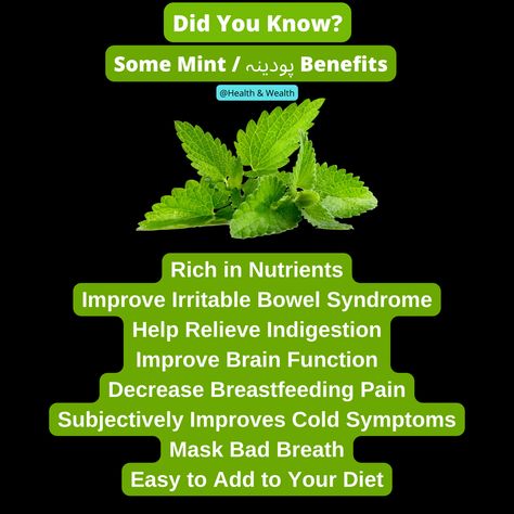 mint benefits for health
green tea with mint benefits
mint benefits for hair
mint benefits and side effects
peppermint benefits and side effects
peppermint benefits and uses
mint tea benefits before bed
boil mint leaves in water benefits
mint benefits during pregnancy
benefits of drinking mint water in morning for weight loss
mint extract benefits
peppermint benefits essential oil
peppermint extract benefits
peppermint extract benefits for skin Watercress Benefits, Peppermint Benefits, Green Apple Benefits, Mint Tea Benefits, Benefits Of Lime, Mint Leaves Benefits, Peppermint Essential Oil Benefits, Mint Benefits, Mullein Tea