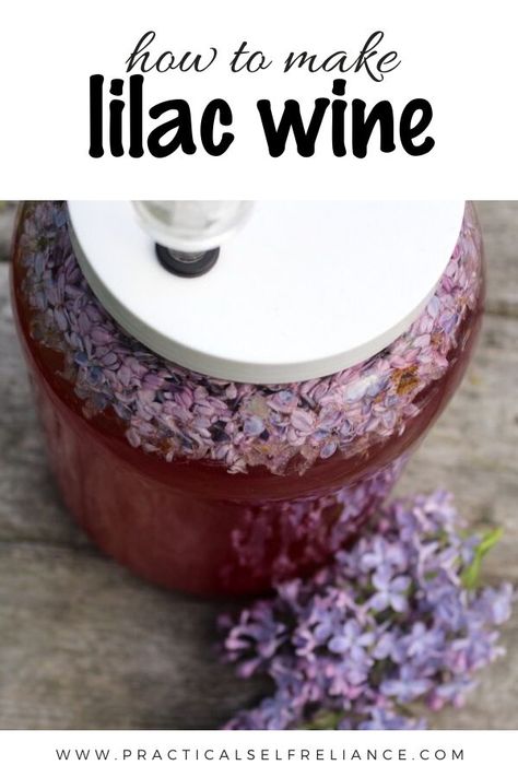 Wine Making Recipes, Blueberry Water, Homemade Wine Recipes, Lilac Wine, Mead Recipe, Peach Wine, Wine Yeast, Edible Flowers Recipes, Homemade Alcohol