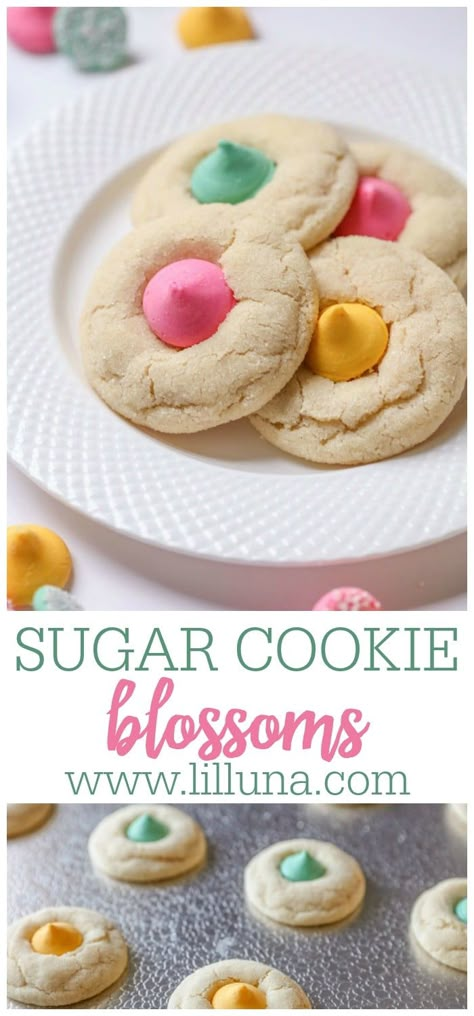 Sugar Cookie Blossoms are a chewy, soft sugar cookie rolled in sugar and topped with a Mint Meltaway candy. They're simple and delicious! #sugarcookieblossoms #blossomcookies #cookies #eastercookies #easycookies Easter Blossom Sugar Cookies, Rollo Cookies Christmas, Sugar Cookie Blossoms Recipe, Easter Blossom Cookies, Holiday Blossom Cookies, Blossom Cookie Recipes, Spring Forward 2023, Sugar Blossom Cookies, Easter Sugar Cookie Recipe