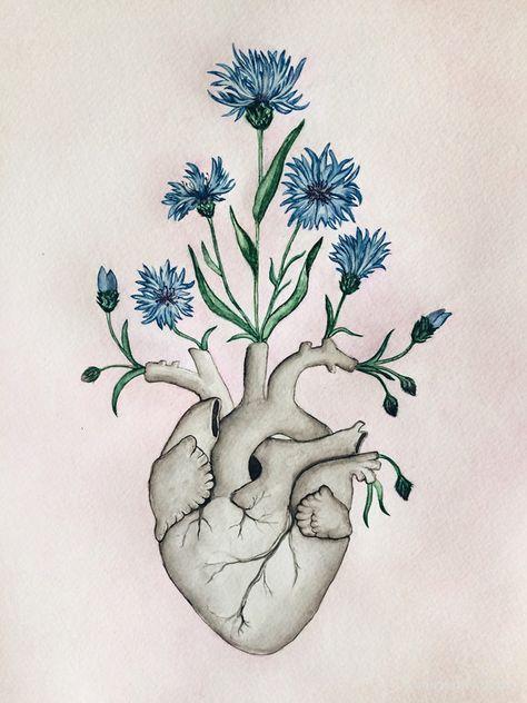 New Floral #Heart #Anatomy Watercolor #Painting of OssuariumFloreus.etsy.com ♡ Blooming Cornflowers - symbol of Estonia. Unique way to say 'With you in my heart is always spring' or 'You make my heart bloom!'. Amazing gift for wedding or nurse, doctor, medicine lover. Anatomy Painting, Heart With Flowers, Heart Anatomy, Biology Art, Painting Unique, Arte Van Gogh, Human Drawing, Unique Drawings, Heart Drawing