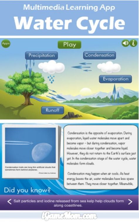 Water Cycle Lessons, Water Cycle Activities, Ielts Essay, Water Science Experiments, Science Apps, Ielts Test, Fun Stem Activities, Science Concepts, Science Experiments For Kids