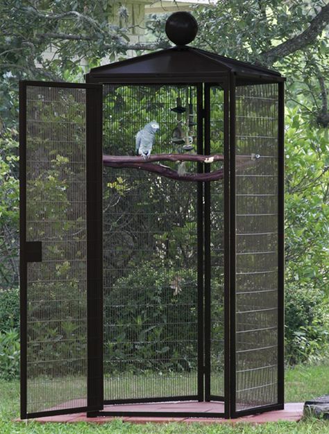 Large Parrot Cage, Diy Bird Cage, Pet Parrot, Pet Bird Cage, Parrot Pet, Bird Aviary, Parrot Cage, Parrot Toys, Open Door