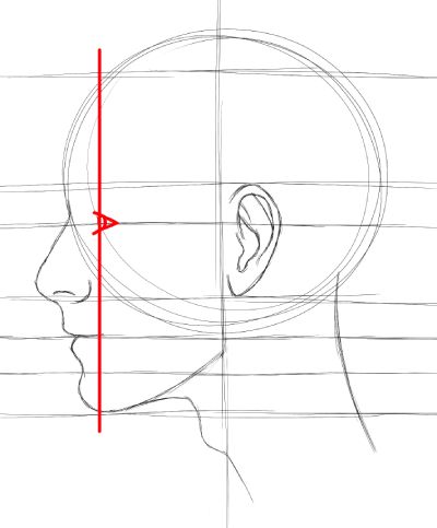 How To Side Profile, Man Side Profile Sketch, How To Draw A Hat On A Head, How To Draw Side Profile Step By Step, Side Profile Step By Step, Drawing Profile Faces, How To Draw Profile Face, Side Profile Art Reference, Profile Portrait Drawing