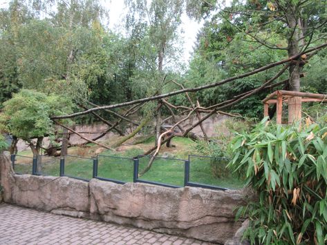 Panda Habitat, Zoo Boo, Zoo Inspiration, Zoo Design, Zoo Zoo, Fishing Pond, Zoo Project, Zoo Ideas, Zoo Architecture