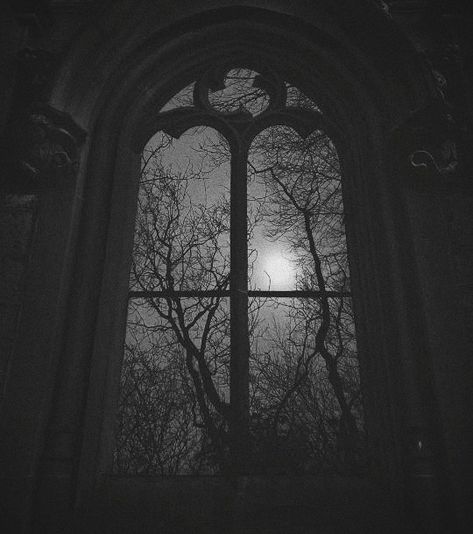 Grey Gothic Aesthetic, Deep Gray Aesthetic, Goth Asethic, Goth Love Aesthetic, Victorian Goth Aesthetic, Goth Window, Victorian Gothic Aesthetic, Dark Windows, Aesthetic Fairy