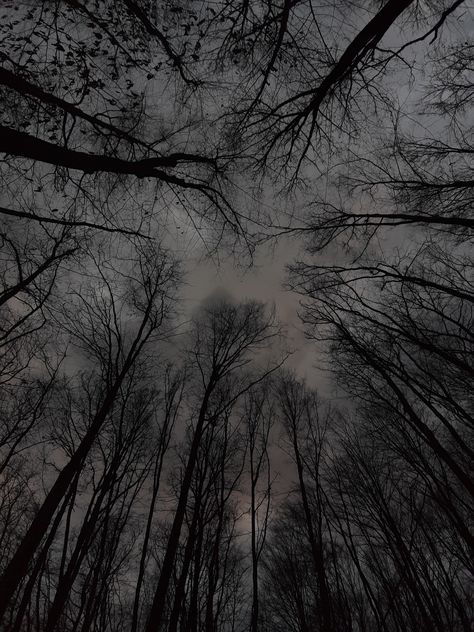 ominous woods, cloudy sky, dark aesthetic, witchy Grey Woods Aesthetic, Witchy Woods Aesthetic, Earth Dark Aesthetic, Dark Hazy Aesthetic, Witchy Dark Aesthetic, Cloudy Aesthetic Dark, Dark Outdoors Aesthetic, Cloudy Forest Aesthetic, Woods Night Aesthetic