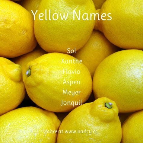 Baby names associated with yellow: Sol, Xanthe, Flavio, Aspen, Meyer, Jonquil, and many more. #yellow #sunshine #babynames Yellow Names, Ranking List, Yellow Sunshine, Novel Writing, Character Names, Aspen, Baby Names, Meant To Be, Writing