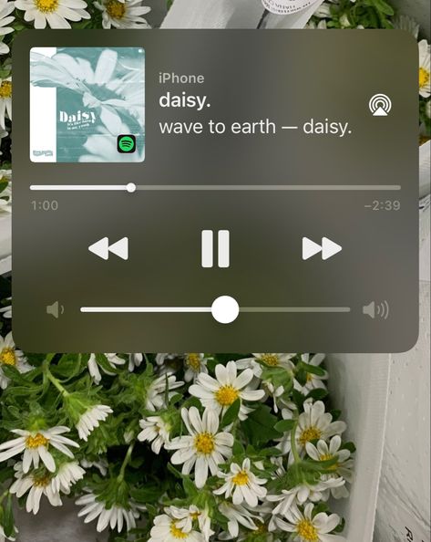 so be my daisy 🫶🏻 Daisy Wave To Earth Spotify, Daisy Wave To Earth, Daisy Song, Story Music, Wave To Earth, Beauty And The Beat, Love Songs Playlist, Daisy Wallpaper, Music Collage