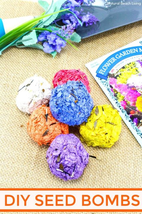 First Day of Spring Activities - Fun Spring Ideas for the Whole Family - Natural Beach Living Flower Activities For Kids, Flower Activities, Earth Day Craft, Nature Activity, Gardening With Kids, Garden Crafts For Kids, Earth Day Projects, Diy Spring Crafts, Garden Kids