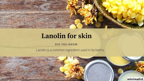 Lanolin Uses, Lanolin Benefits, Allantoin Benefits, Lanolin Hand Cream Diy, Calamine Lotion For Acne, Diy Triple Antibiotic Ointment, Lanolin Cream, Skin Care Lotions, Lotion Recipe