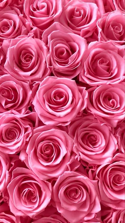 valentines day saint valentine wallpaper pink roses Pink Roses Wallpaper, Wallpaper Iphone Minimalist, Pink Phone Wallpaper, Summer Phone Wallpapers, Rose Pink Wallpaper, Wallpapers Floral, Pink Roses Background, Aesthetic Wallpaper Dark, Wallpaper Iphone Tumblr