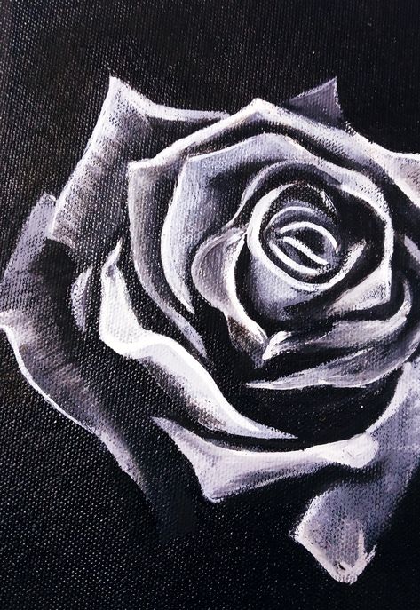 Black Roses Painting, Black Rose Painting Acrylic, Black Rose Drawing, Black Rose Painting, Black Flower Painting, Black Rose Art, Rose Painting Acrylic, Monochromatic Painting, Black Background Painting