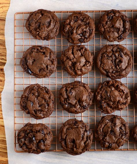 Double Chocolate Chip Cookies Sunbutter Cookies, Double Chocolate Chip Cookie Recipe, Brownie Vegan, Chocolate Trifle, Double Chocolate Chip Cookies, Double Chocolate Cookies, Cookie Brownie Bars, Chocolate Chip Cookie Bars, Baking Cakes