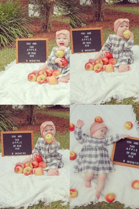 Such a cute fall monthly photoshoot idea for your cutie babe! Grab yourself some apples, a letter board, a blanket, and a cutie little babe! Monthly Photoshoot, Six Month Baby, Baby Holiday Photos, Fall Baby Pictures, 8 Month Baby, Apple Picture, Baby Apple, Baby Milestones Pictures, Monthly Pictures