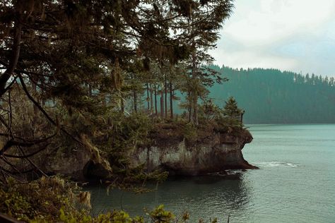 Forks Aesthetic Twilight, Forks Washington Aesthetic, Forks Washington Twilight Aesthetic, Northwestern Gothic, Twilight Trip, Forks Washington Twilight, Road Trip Aesthetic, Washington Road Trip, Twilight Dr