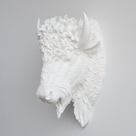 Bison Head, White Bison, Taxidermy Wall, Head Wall Decor, American Buffalo, Buffalo Bison, King In The North, American Bison, Funny Farm