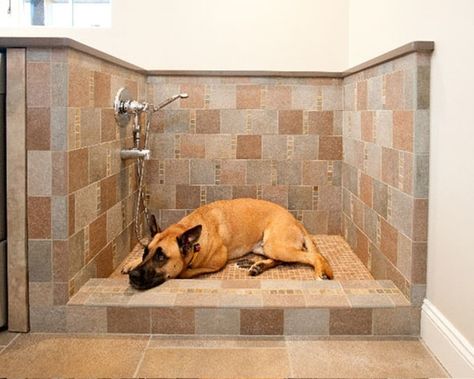 40 Easy Dog Wash Station Ideas at Home - Page 2 of 2 - Tail and Fur Dog Wash Station, Traditional Bathroom Tile, Traditional Laundry Room, Pet Washing Station, Wash Station, Washing Station, Laundry Room/mud Room, Shower Backsplash, Dog Washing Station