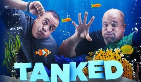 Animal Planet is bringing back Tanked for a new season. Find out more now! https://tvseriesfinale.com/tv-show/tanked-season-13-renewal-announced-coming-animal-planet/?utm_content=buffer62a68&utm_medium=social&utm_source=pinterest.com&utm_campaign=buffer Are you a fan of this series? Custom Aquarium, Jacques Yves Cousteau, Amazing Aquariums, Cool Fish Tanks, Saltwater Fish Tanks, Tanked Aquariums, Saltwater Aquarium, Animal Planet, Aquariums