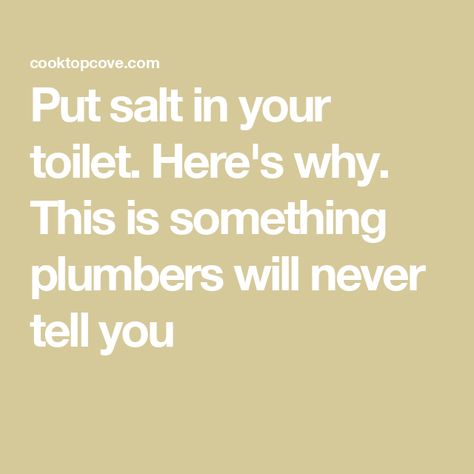 Put salt in your toilet. Here's why. This is something plumbers will never tell you Toilet Rules, Plumbing Companies, Commercial Toilet, Clogged Toilet, Plumbing Emergency, Plumbing Problems, Vinegar Cleaning, Bathroom Smells, Job Security