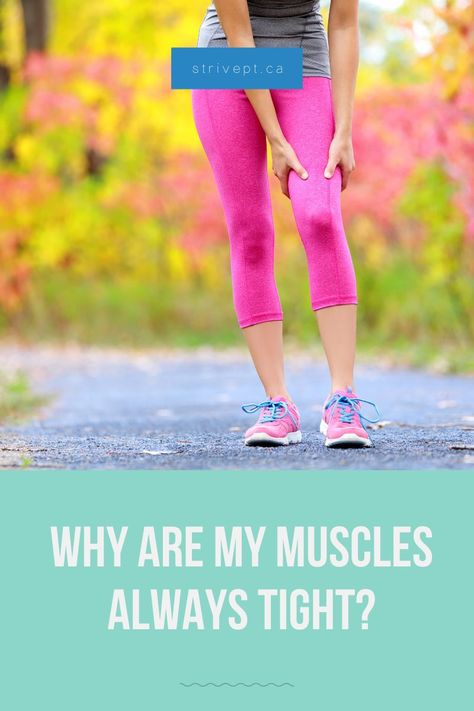 Why Are My Muscles Always Tight? Muscle Tightness https://strivept.ca/why-are-my-muscles-always-tight/ Muscle Tightness Relief, Sore Leg Muscles Relief, Sore Legs, Lower Body Muscles, Muscle Knots, Pectoral Muscles, Restless Legs, Muscle Relief, Leg Cramps