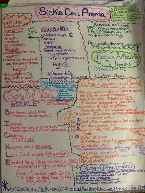 Here’s part 1 of 2 for SCD! Patho, signs and symptoms, factors affecting it, nursing interventions, and treatments! Hematology Notes, Med Surg Nursing Study, Hematology Nursing, Small Travel Trailer Remodel, Nclex Notes, Pathophysiology Nursing, Nursing Interventions, Medical Assistant Student, Med Surg Nursing