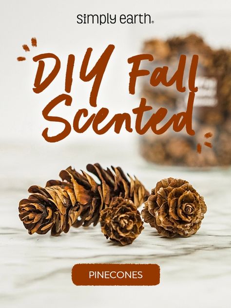 The holidays are a great time to bring the family together, but sometimes it can be stressful and expensive. We don't always have enough time or money to do fun activities as a family. 💯 Our DIY Fall Scented Pinecones are easy, fun, and inexpensive to make. This pinecone craft will keep you busy this weekend while you enjoy quality time with your children! 🍂 Scented Pine Cones, Coffee Essential Oil, Natural Food Supplements, Scented Pinecones, Wellness Board, Simply Earth, Bushel Baskets, Diy Scent, Loose Leaf Teas