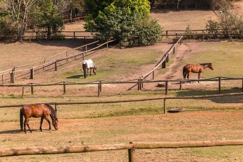 Less is More: How to Keep Horses on Small Acreage Horse Farm Layout, Stall Cleaning, Manure Management, Horse Pasture, Farm Layout, Round Pen, Riding Arenas, Two Horses, Horse Farm