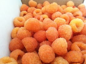 Yellow Raspberries, Raspberry Jam Recipe, Jam Recipes Homemade, Vanilla Spice, Raspberry Recipes, How To Make Jam, Jelly Recipes, Fresh Cherries, Homemade Jam